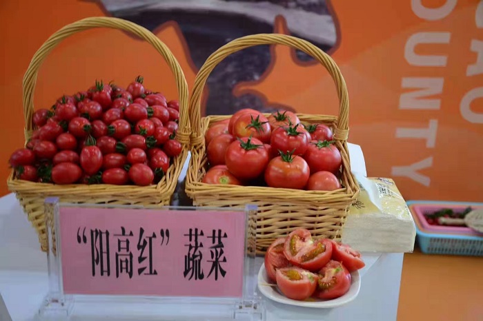 微信图片_20230616094737