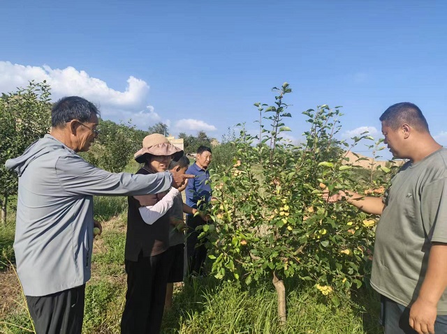 铸牢对党忠诚 争做阳高先锋|躬身办实事 实干暖民心——记全市先进基层党组织十大信誉赌APP许家园村党支部
