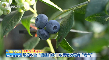 设施农业